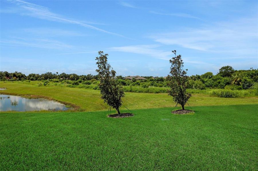 Natural landscape and outdoor views near Seaire in Parrish (Image 46). Natural landscape and outdoor views near Seaire in Parrish (Image 46).
