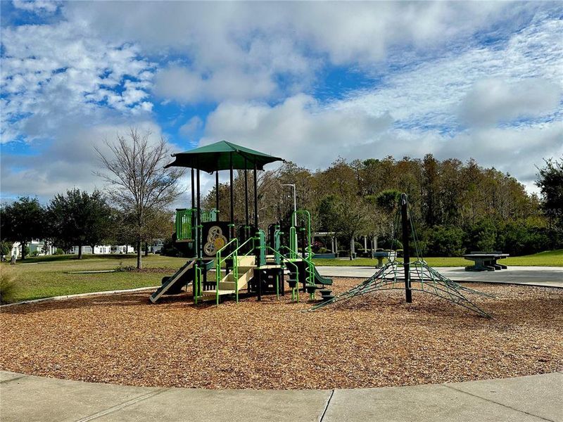 Community amenities in , Land O' Lakes (Image 44). Community amenities in , Land O' Lakes (Image 44).