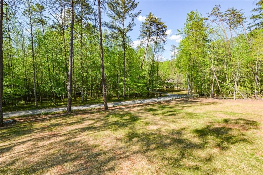Natural landscape and outdoor views near  in Ellijay (Image 44).