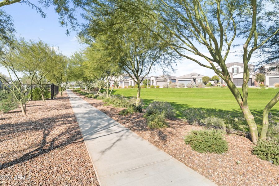 Community Area Community Area