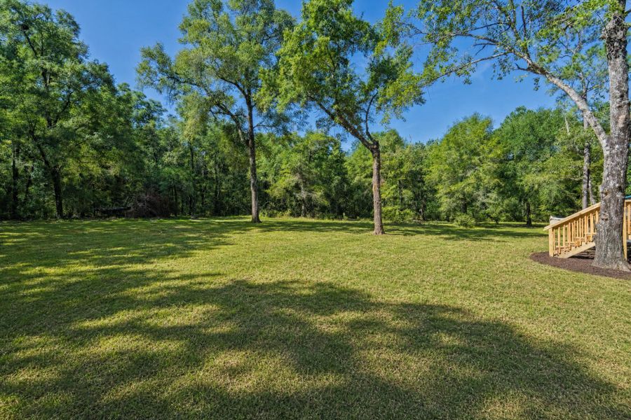 Natural landscape and outdoor views near in Walterboro (Image 22). Natural landscape and outdoor views near in Walterboro (Image 22).