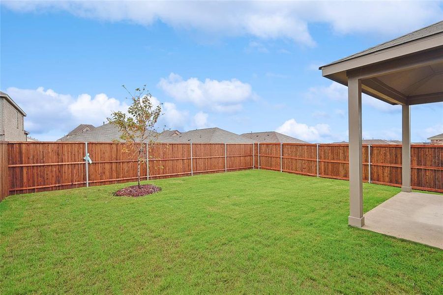 View of yard featuring a patio