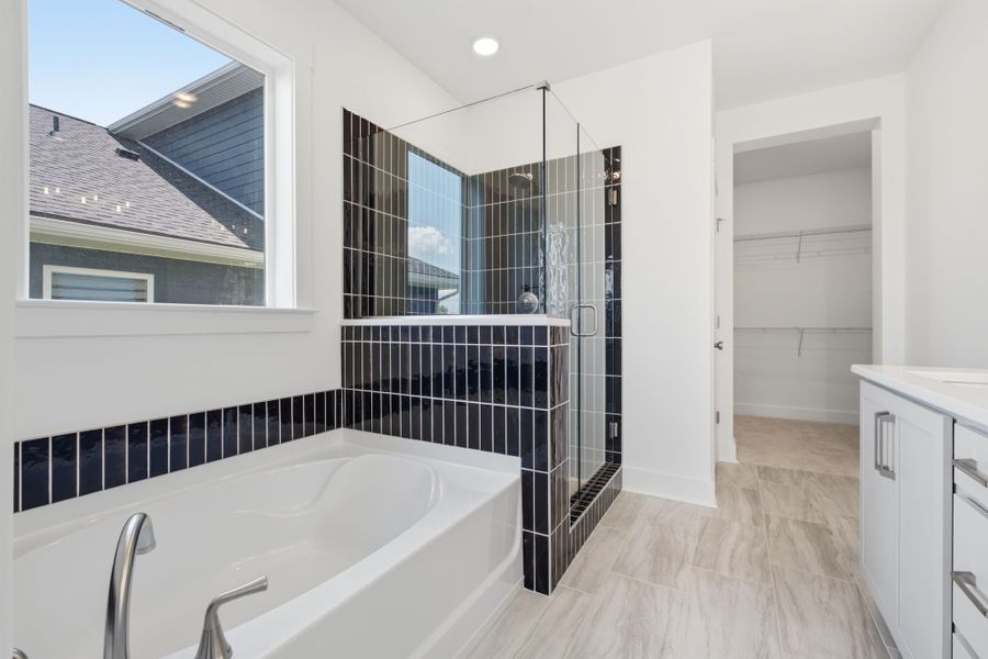 Owner's Bath