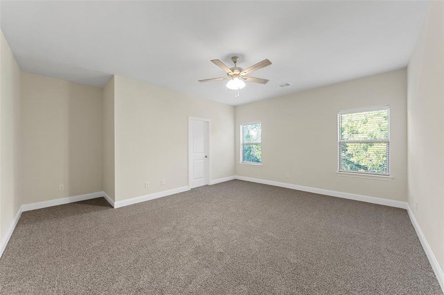 Unfurnished room featuring carpet, ceiling fan, and plenty of natural light