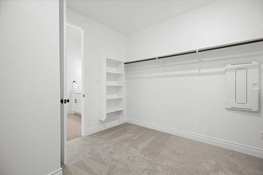 Walk in closet with light carpet