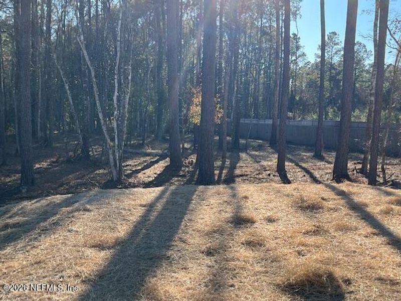 Natural landscape and outdoor views near  in Hilliard (Image 25).