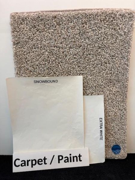 Carpet and Paint Selections