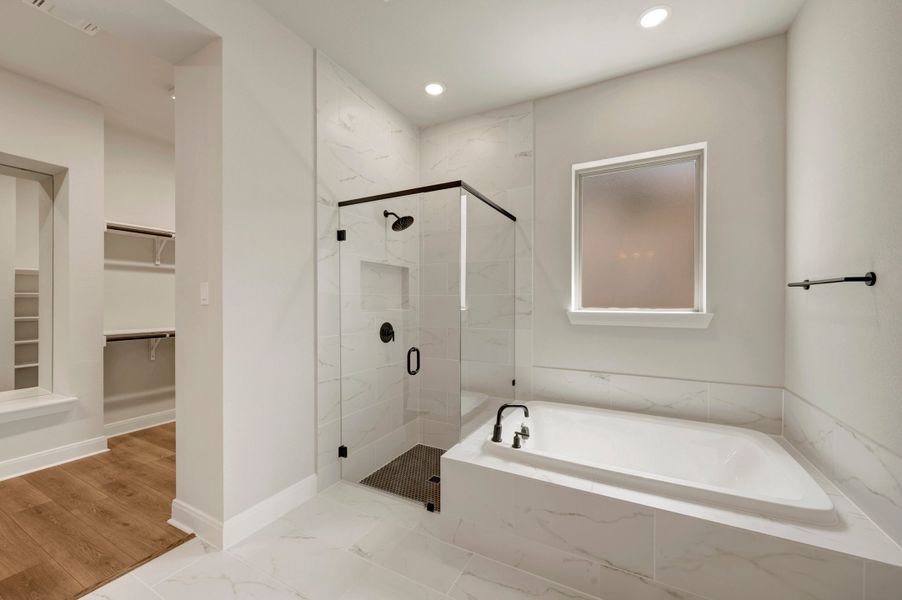 Owner's Bath