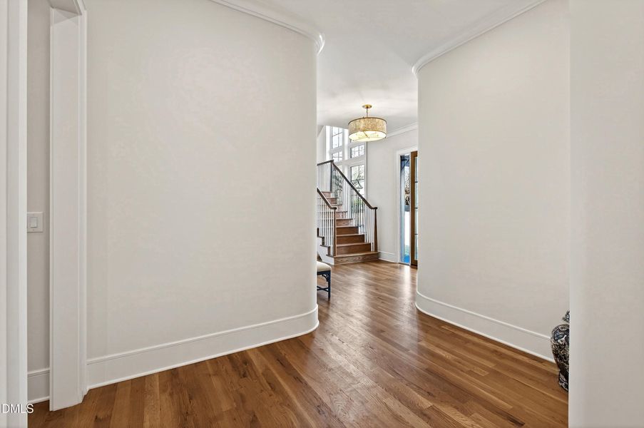 Carson (24) Carson (24)