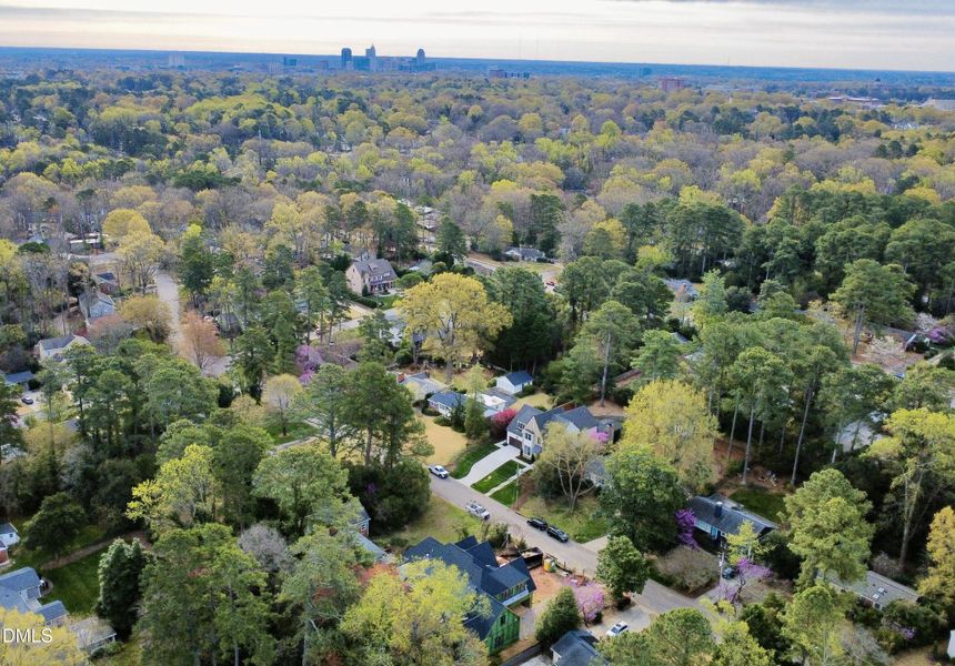 dji_fly_20260318_091648_891_177384607000