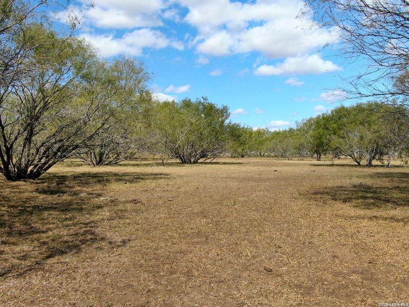 Natural landscape and outdoor views near  in Stockdale (Image 11).