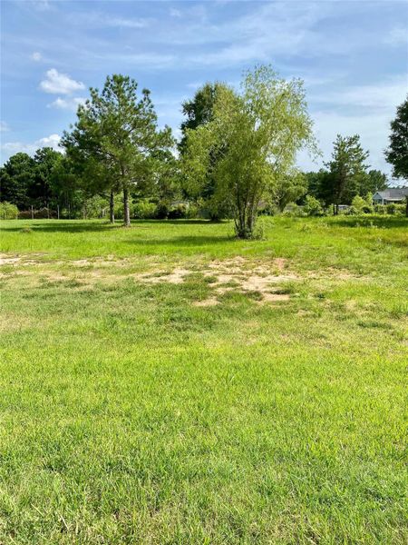 Large Back Yard