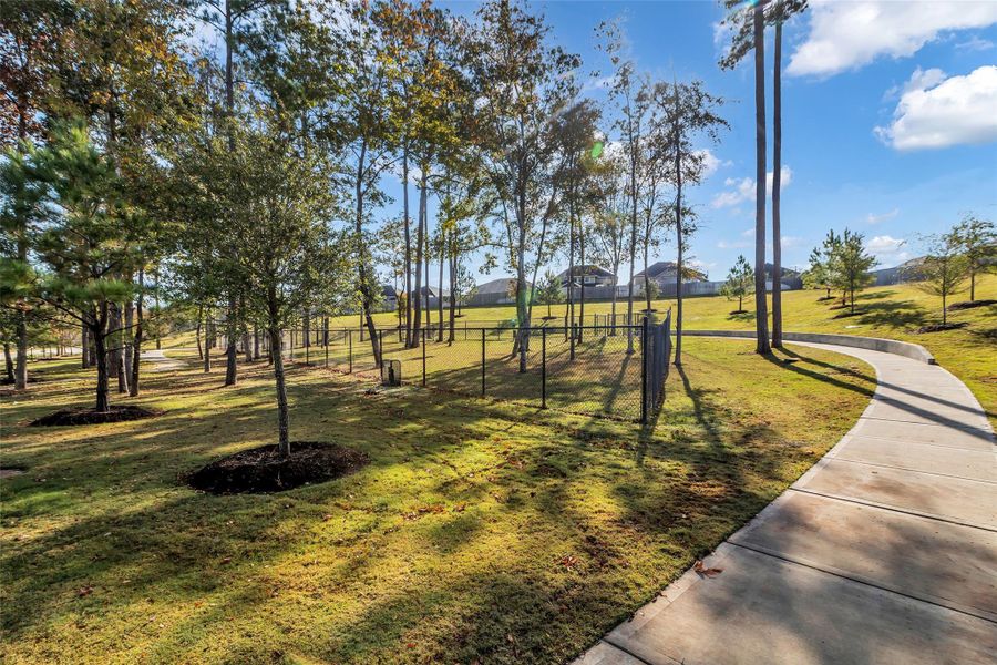 Walk your dog and let them run in the neighborhood dog park.