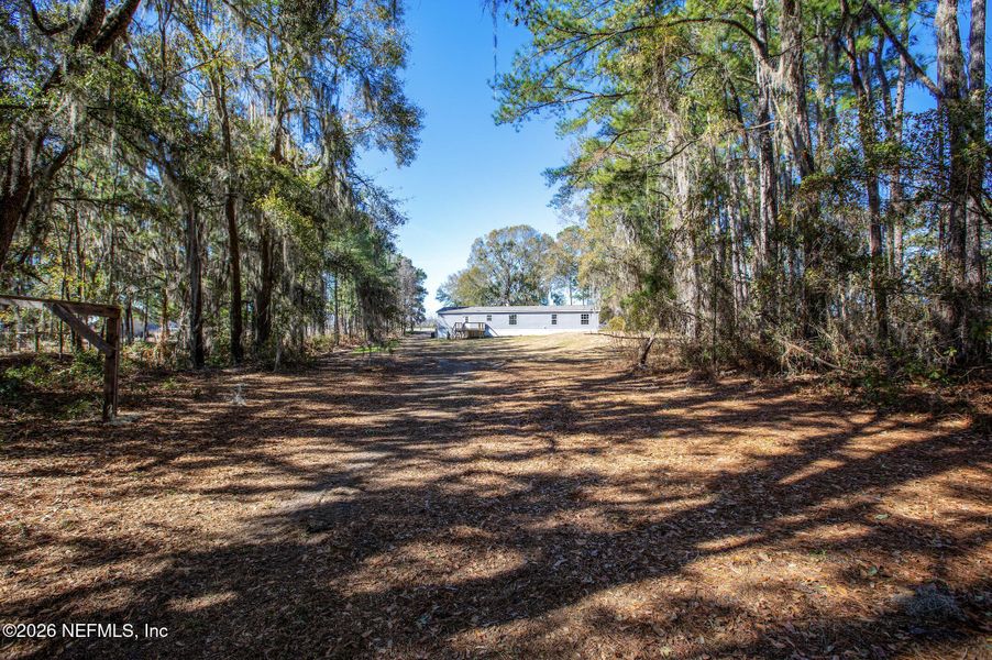 Natural landscape and outdoor views near  in Lake Butler (Image 32).