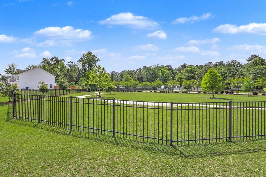 Community amenities in , Summerville (Image 33).