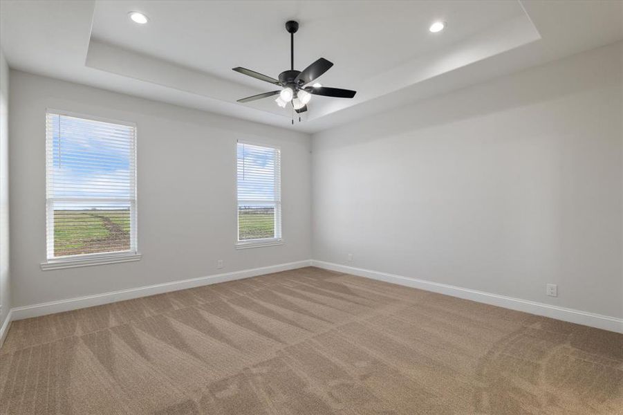 Spare room with a raised ceiling, light colored carpet, and baseboards