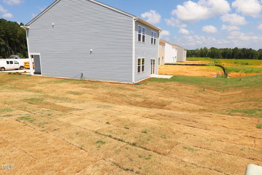 Back Left 2 Back Left 2