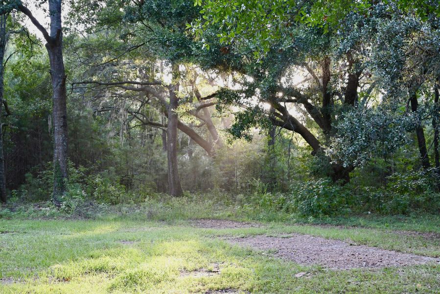 Natural landscape and outdoor views near  in Mount Pleasant (Image 13).