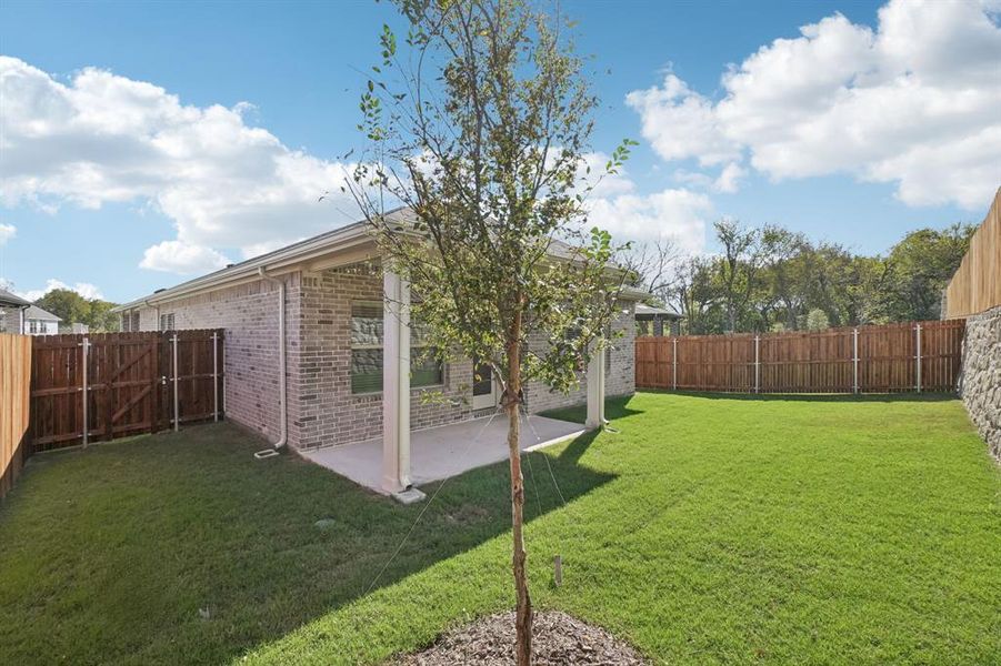 Exterior details and patio area of a home in Eastridge - Spring Series, McKinney (Image 4). Exterior details and patio area of a home in Eastridge - Spring Series, McKinney (Image 4).