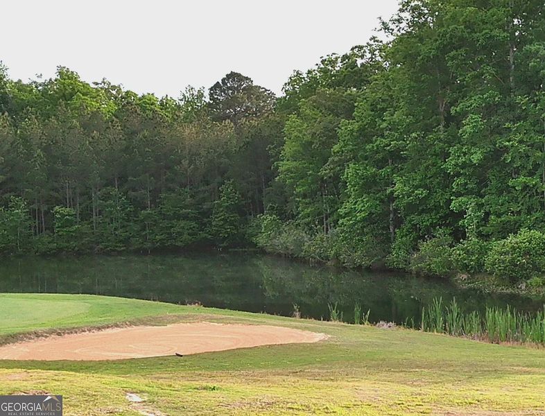 Natural landscape and outdoor views near Barrington Place in Macon (Image 6).