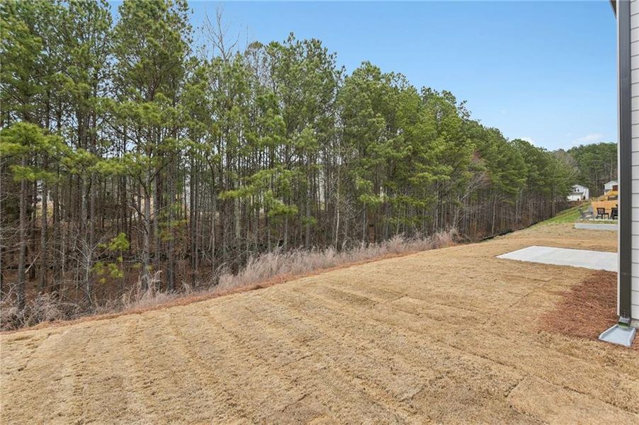 Natural landscape and outdoor views near Ivey Township in Dallas (Image 47).