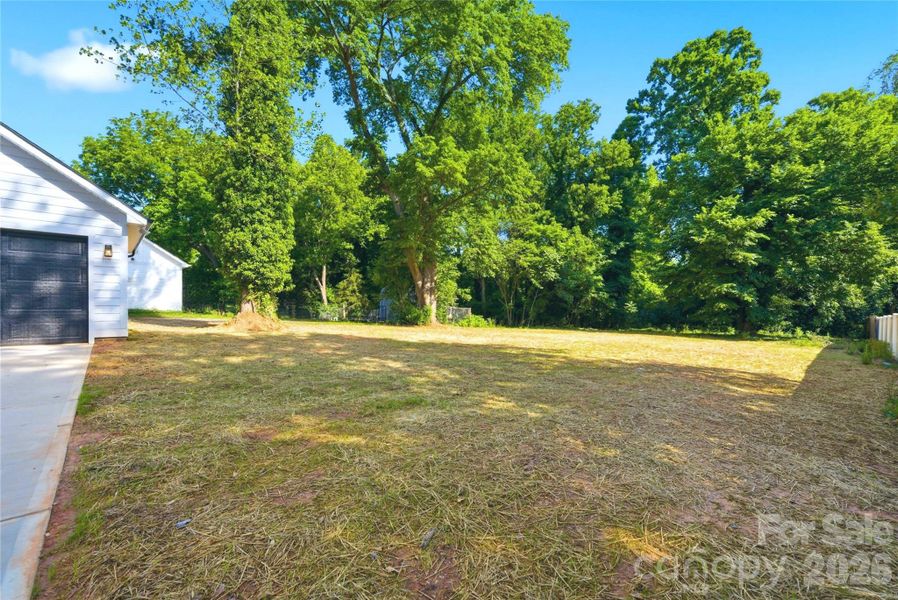 Natural landscape and outdoor views near  in McAdenville (Image 27).