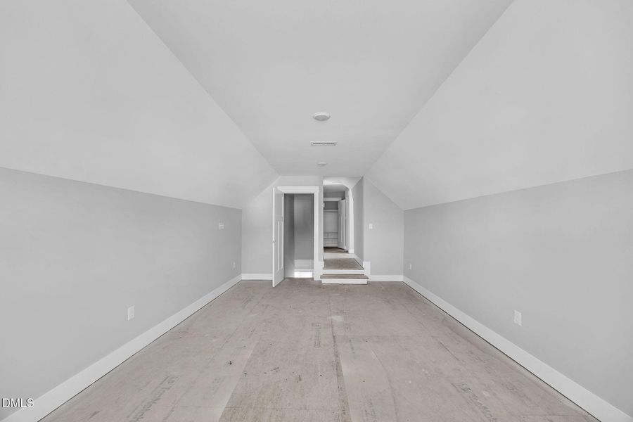 9-web-or-mls-9L1A1974