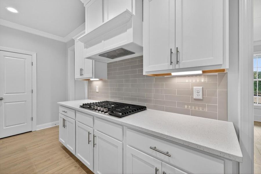 Close-up of interior finishes inside a home in Hemingway, Flowery Branch (Image 16).