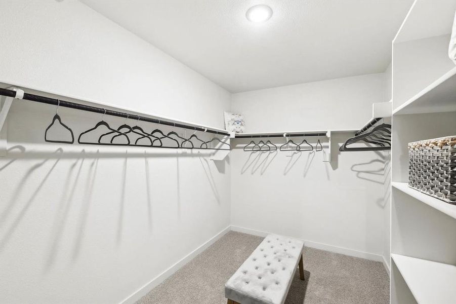 Spacious closet featuring light colored carpet