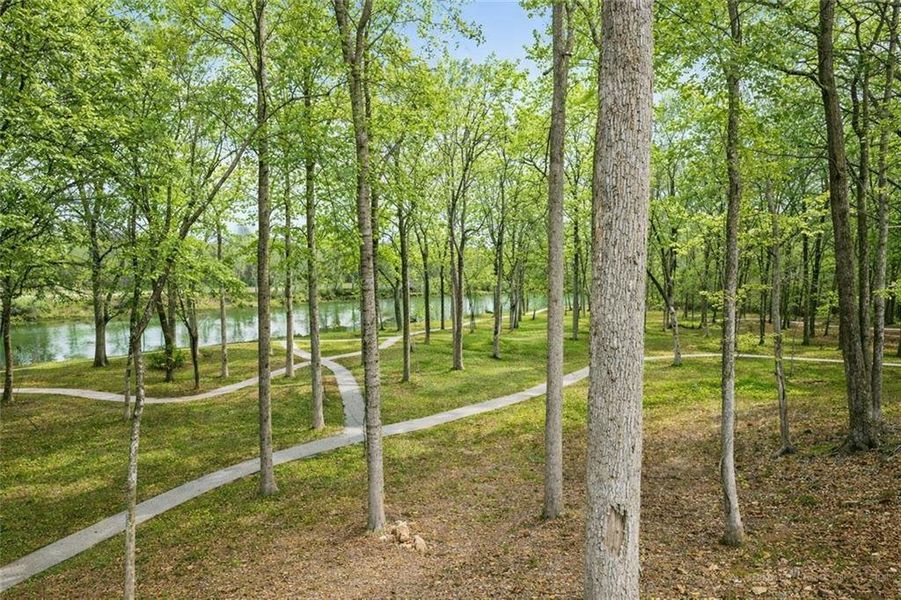 Natural landscape and outdoor views near Waterside Single Family in Peachtree Corners (Image 53).