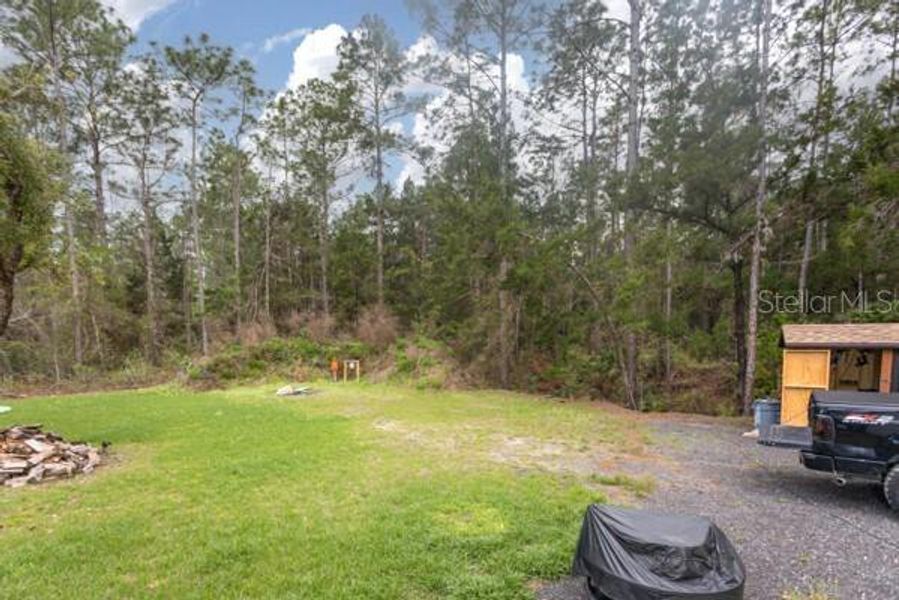 Natural landscape and outdoor views near in Bunnell (Image 22). Natural landscape and outdoor views near in Bunnell (Image 22).