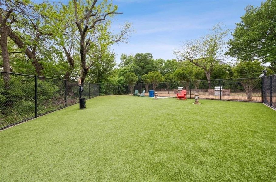 Dog park Dog park