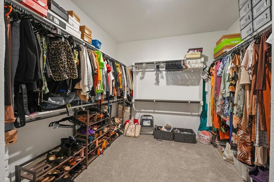 Spacious closet with carpet floors