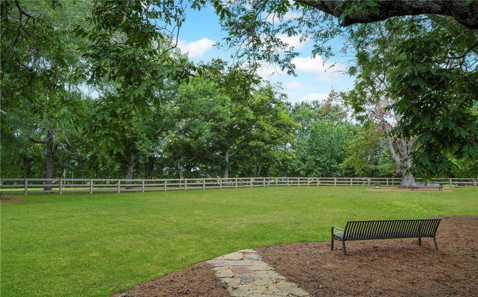 Natural landscape and outdoor views near Trove in Watkinsville (Image 31).