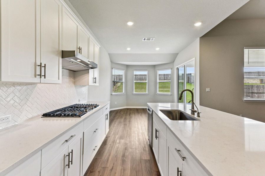 Stainless single basin sink with goose head fixture & Filter water spoout