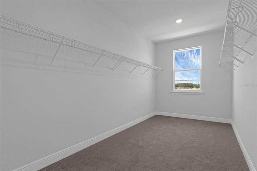 Spacious, unfurnished interior of a new home in , St. Cloud (Image 37).