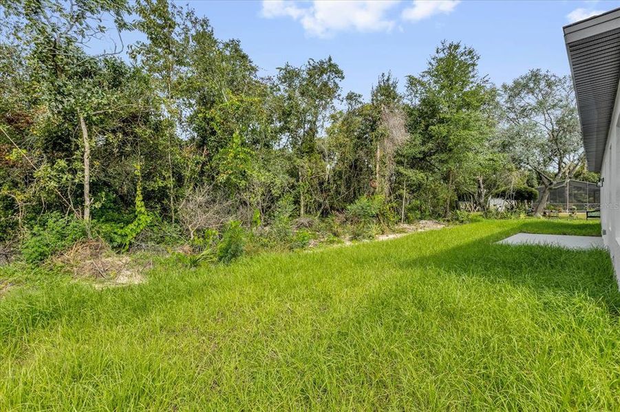 Natural landscape and outdoor views near  in Ocala (Image 25).