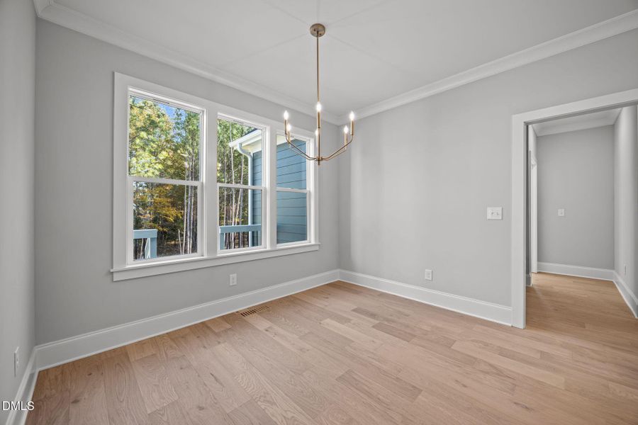 17-web-or-mls-2N6A4389