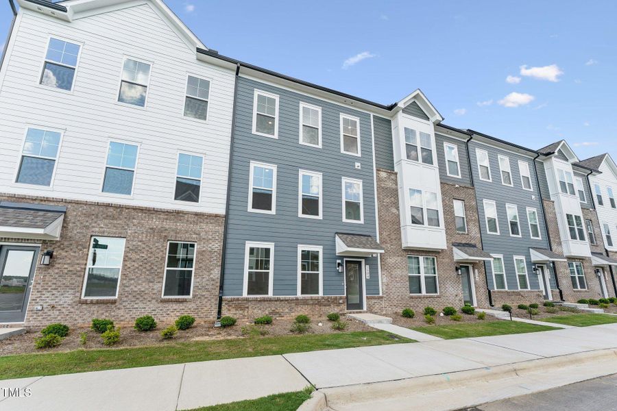 3-web-or-mls-DSC09203 3-web-or-mls-DSC09203