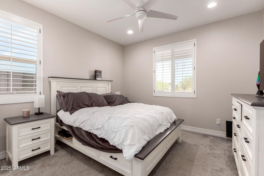 31 - Mariposa Grande 14045