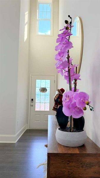 Close-up of interior finishes inside a home in , Cumming (Image 21).