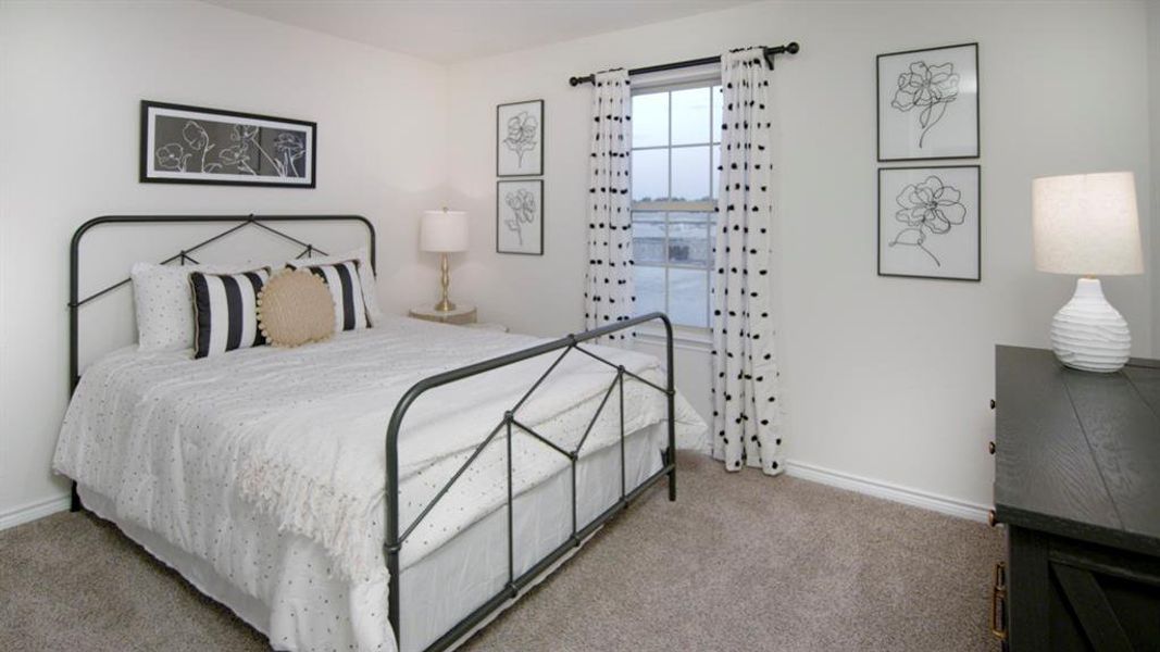 Carpeted bedroom featuring white walls, a single window with dark trim, and a dark wood dresser Carpeted bedroom featuring white walls, a single window with dark trim, and a dark wood dresser