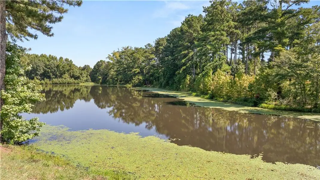 Natural landscape and outdoor views near Lake Shore in Winder (Image 33). Natural landscape and outdoor views near Lake Shore in Winder (Image 33).
