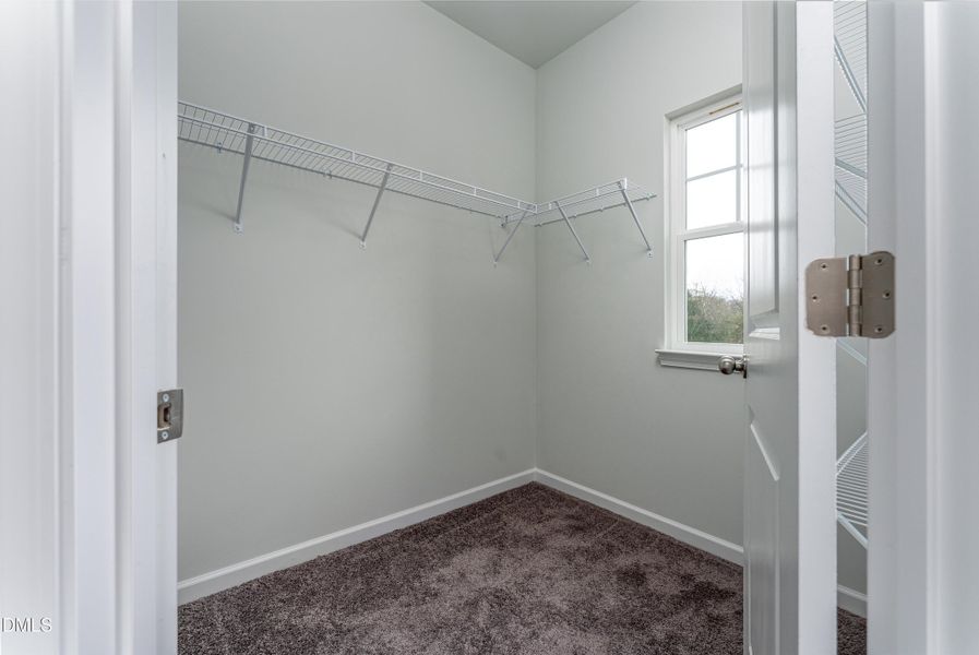 Representational Photo