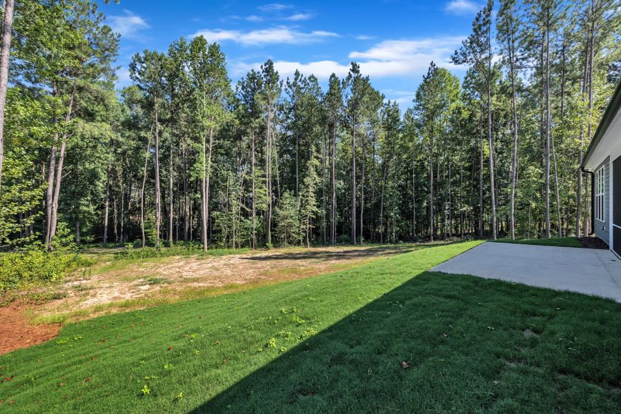 Outdoor and nature views near homes built from the The Bradley by RobuckHomes in Baylee Ridge, Selma (Image 199). Outdoor and nature views near homes built from the The Bradley by RobuckHomes in Baylee Ridge, Selma (Image 199).