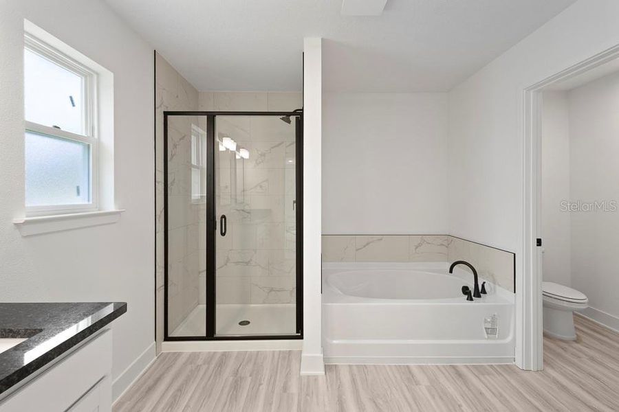Furnished interior view inside a new home in The Preserve at Laurel Lake, Lake City (Image 11).