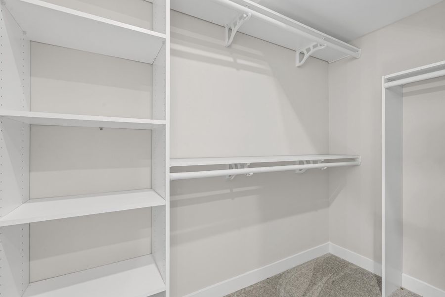 Spacious closet featuring light colored carpet
