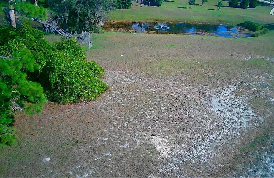 Natural landscape and outdoor views near in Tarpon Springs (Image 9). Natural landscape and outdoor views near in Tarpon Springs (Image 9).