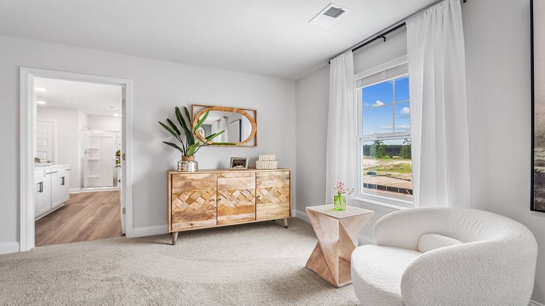 Furnished interior view inside a new home in The Retreat at East Argent, Ridgeland (Image 27).