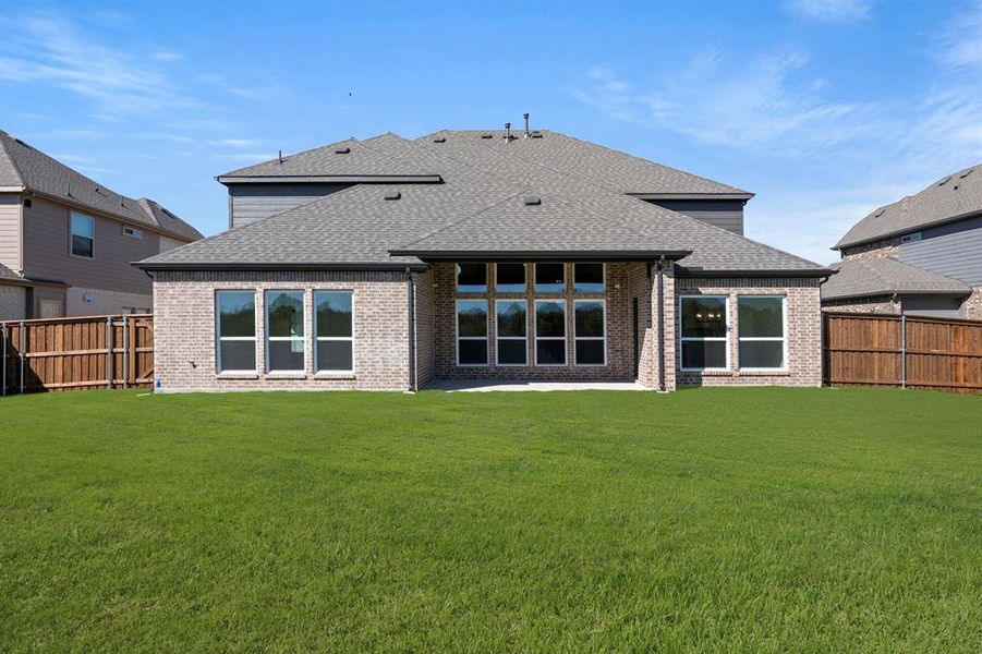 25_26. 953 Gold Finch - Back